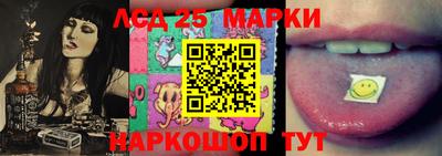 прущие крисы Камышлов