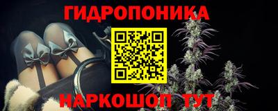 прущие крисы Камышлов