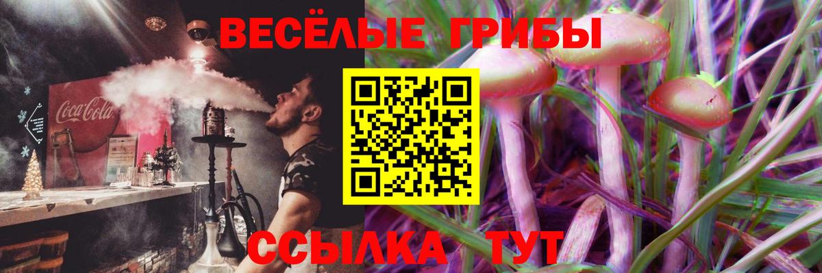 Псилоцибиновые грибы Cubensis Лесозаводск